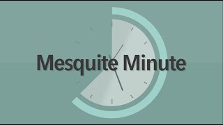 1/5/2022 Mesquite Minute: Mesquite Police Department Technology