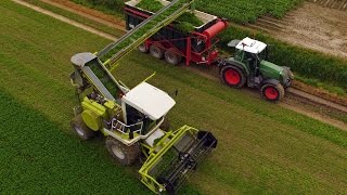 Special Claas Jaguar harvesting parsley 2016 | *One Off* | Fendt 714 \u0026 818