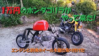 LINEで１万円のホンダゴリラを購入・・・中華エンジンと前後ホイールを磨いて取り付けてみた【ヤフオクバイク】【原付購入】【バイクレストア】