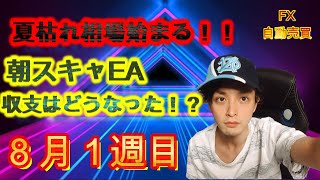 【FX自動売買】夏枯れ相場始まる！！朝スキャEA収支はどうなった！？8月1週目