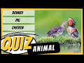 💭 QUIZ ANIMAL #2: Teste seus conhecimentos em inglês! (ANIMAIS DA FAZENDA)