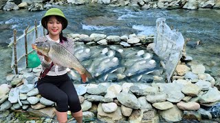 Single mother creates primitive fish trap to catch giant school of carp