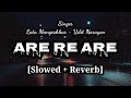 Are Re Are [Slowed+Reverb] Shah Rukh Khan, Madhuri Dixit | Lata Mangeshkar, Udit Narayan