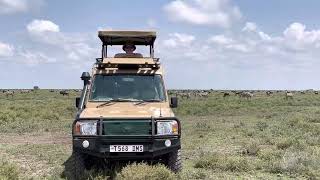 The Vastness of the Serengeti Plains: Green Season (Sound On)