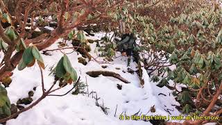 Mount Phongkanrazi, Putao, Kachin state, Myanmar.