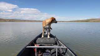 2.5hp Yamaha canoe