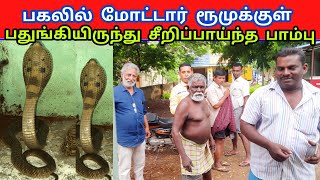 இரவில் உலா வந்து பகலில் மோட்டார் ரூமுக்குள் பதுங்கி இருந்த நல்லபாம்பு சீறிப்பாய்ந்தது| Snake_Saga