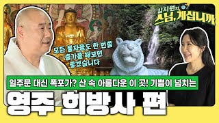 멋진 희방폭포가 맞이하는 이 곳! 백두산 정기 가득! 호랑이가 절을 만들다? 기쁜 소식이 가득한 소백산 영주 희방사 [김지원의 스님 계십니까 34회]