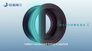 Wafer Type Dual Plate Check Valve - JUHAN VALVE
