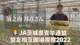 JA茨城県青年連盟 盟友圃場相互視察2022③　ピーマン（JAなめがたしおさい 波崎青年部）