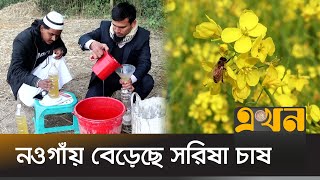 অনলাইনে মধু বিক্রি করে স্বাবলম্বী হচ্ছে তরুণ উদ্যোক্তারা | Naogaon News | Honey Production