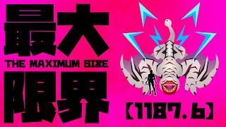 【MHP2】フルフル最大限界サイズ/THE MAXIMUM SIZE KHEZU【1187.6】