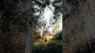 Just a chill guy teaching photography in the forest