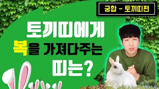 토끼띠에게 복을 가져다 주는 띠는? Feat 띠궁합