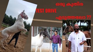 Oru horse test drive aduthalo