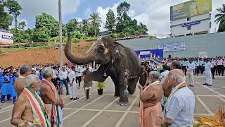 Mahalakshmi elephant of Kateelu Durgaparameshwari Temple during the Independence Day Celebration