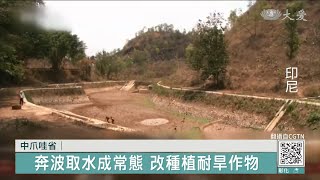 印尼乾旱井水見底 農民開挖河床