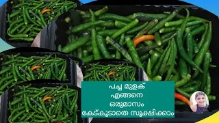 പച്ച മുളക് എങ്ങനെ ഒരു മാസം കേട്കൂടാതെ സൂക്ഷിക്കാം