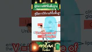 คู่มือการใช้กีขั้นพื้นฐาน #ผู้หญิงไทย #เดี่ยว13 #durex #tiktok #เดี่ยว #คลินิกความงาม #ช่องคลอด