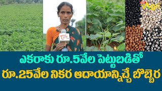 Bobbara Pappu, Lobia Dal | ఎకరాకు రూ.5వేల పెట్టుబడితో రూ.25వేల నికర ఆదాయాన్నిచ్చే బొబ్బర.. Tone Agri