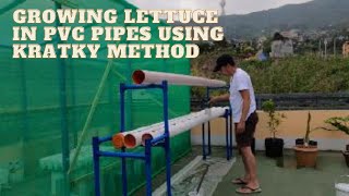 PART 1 OF 2.  KRATKY HYDROPONICS FOR GROWING LETTUCE: NO STYRO BOX? THEN USE PVC PIPES