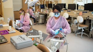 UNE College of Dental Medicine – Students Explain Why They Chose UNE