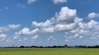 ダンプホッパーから乾燥機に籾の張り込み👍