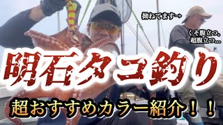 ~明石タコ釣り~超おすすめカラーでキロアップ連発！