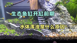 生态缸开缸前期，水体浑浊不清是什么原因？用这一招就能解决