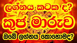 ලග්න රැසකට අති ප්‍රභල ධන යෝග ගෙනෙමින් කුජ මාරුව කටක ලග්නයට කොහොමද? | Lagna Palapala