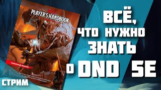 Всё, что нужно знать о DnD 5e