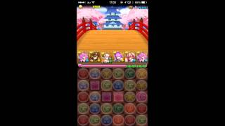 【パズドラ】 神羅万象チョココラボ2 超地獄級 【光回復ギャルズ】