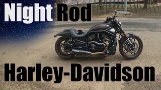 H-D V-Rod (Night Rod) '15 тест-драйв. Душевный навал