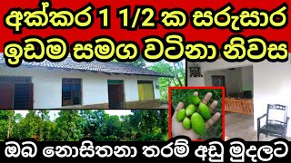 අක්කර 1 1/2 ක ඉඩම හා නිවස ඔබ නොසිතනා තරම් අඩුවට | Agriculture land | Aduwata idam | Land for sale