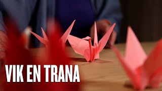 Lär dig vika en trana -  origami