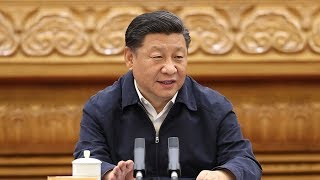 Xi stresses consolidating achievements in China's institutional reform