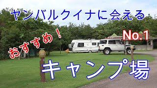 4K【沖縄県東村探検 2021年】家族連れにおすすめのキャンプ場 No.1(2021年08月14日)