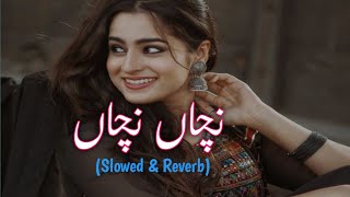 Nachan Nachan 🥀✨ New Saraike Song|| Slow and Reverb|| Ameer  Niazi