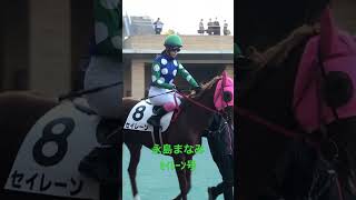 永島まなみ　ｾｲﾚｰﾝ号　パドック風景② 20230108中京競馬12R