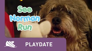 Playdate | Season 1 | Episode 5 | See Norman Run