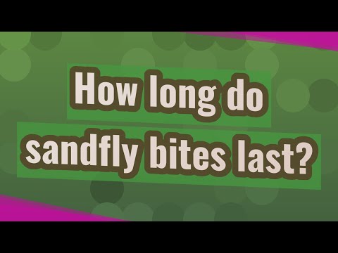 Do sandflies lay eggs when they bite?