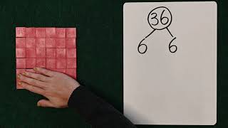 Multiplication with tiles 3：Finding factors