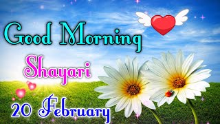 20 feb Good Morning love shayari video | wishes for everyone