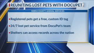 Reuniting lost pets with KCAS' Docupet