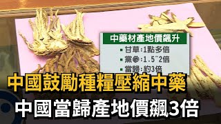 中國鼓勵種糧壓縮中藥　中國當歸產地價飆3倍－民視新聞