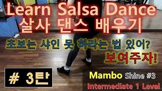 살사댄스배우기/Learn Salsa Dance - Mambo Shine #3 초중급(Intermediate 1 Level)