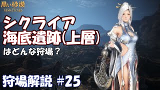 【黒い砂漠】シクライア海底遺跡(上層)のあるきかた【狩場解説 #25】