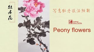 中國畫教學系列：邊講邊畫系列---牡丹技法陋解  peony