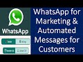 How to Send Automated Messages in WhatsApp? | WhatsApp Websender | WhatsApp for Marketing