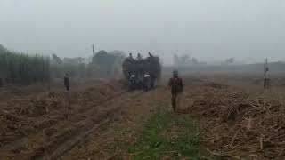 New holland 5630 (ਭਲਵਾਨ ਸਿੰਘ) New holland 5630 (ਭਲਵਾਨ ਸਿੰਘ)